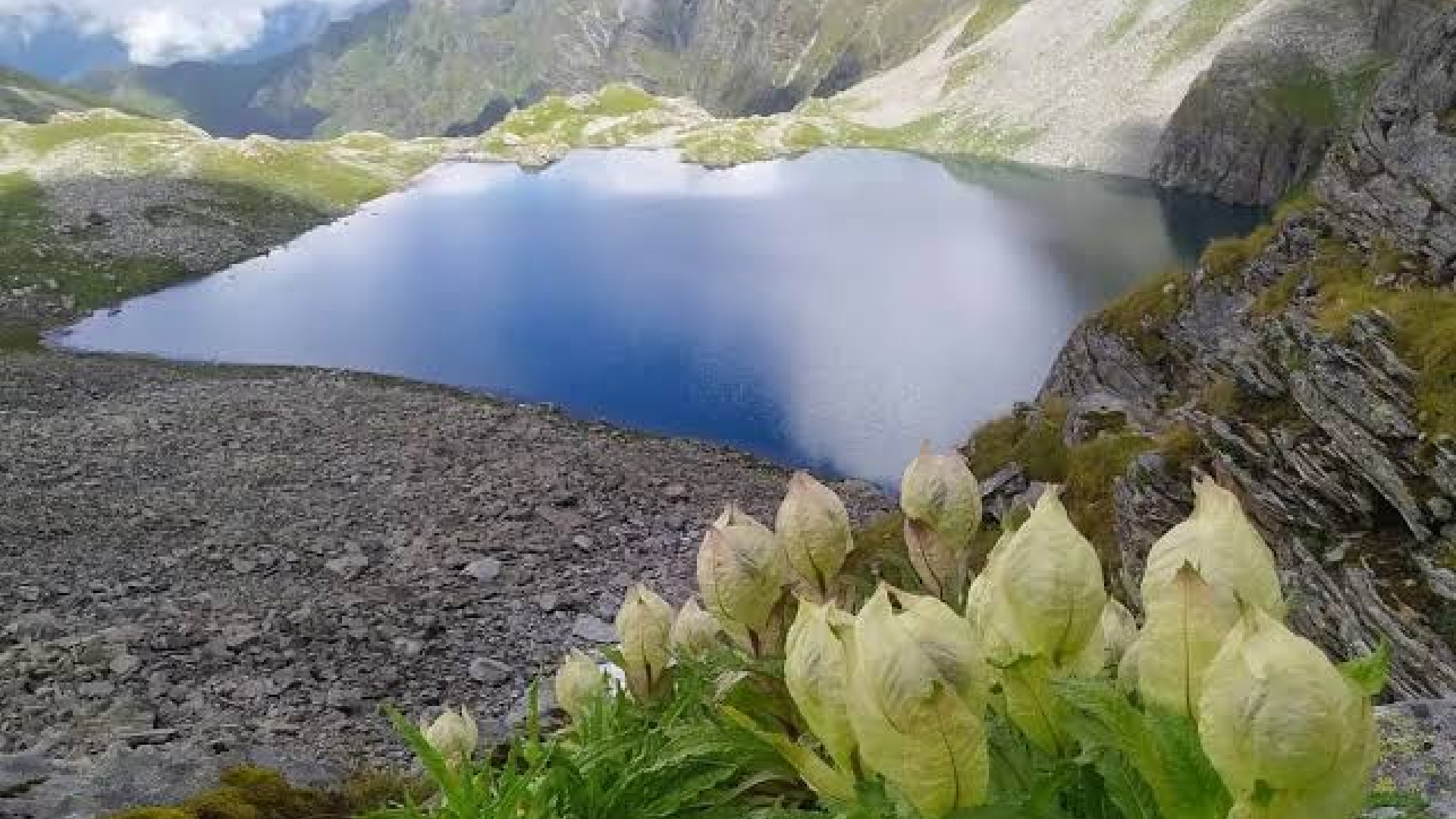 Kedarnath Yatra Package