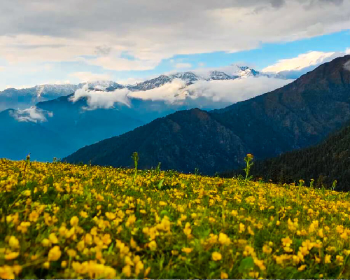 Rupin and Supin Trek